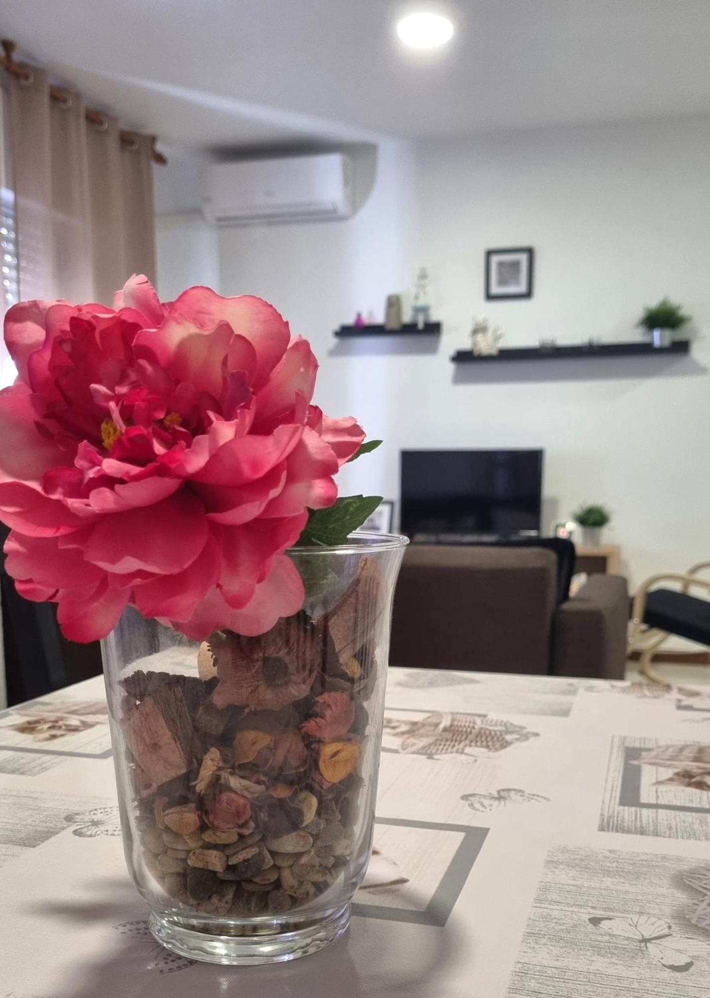 Apartamento Cayetano Рота Екстериор снимка